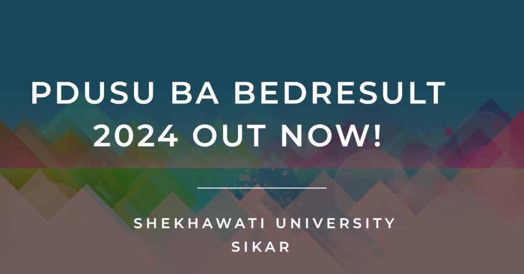 PDUSU BA BEd Result 2024 Out - Shekhawati University Sikar