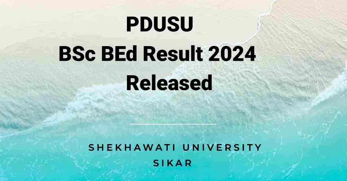 PDUSU BSc BEd Result 2024 Out - Shekhawati University Sikar